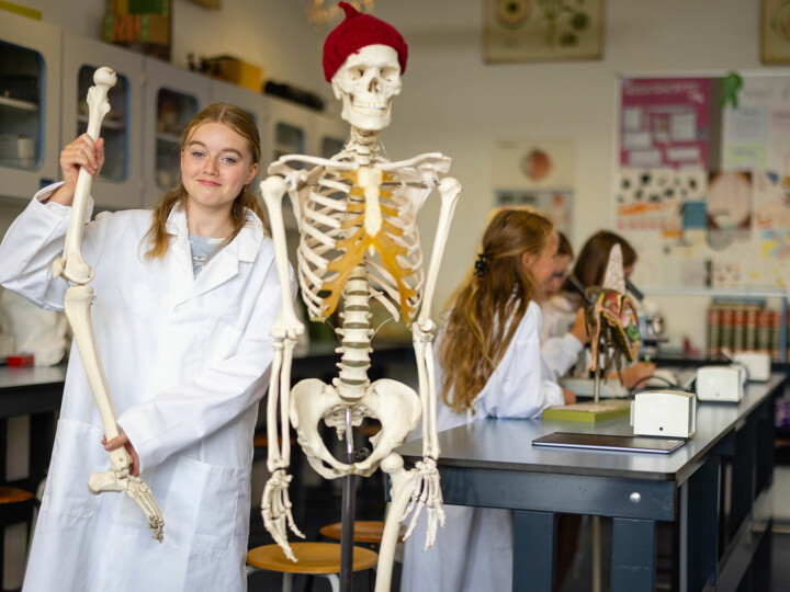 Een lerende school